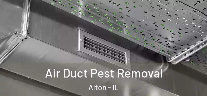 Air Duct Pest Removal Alton - IL