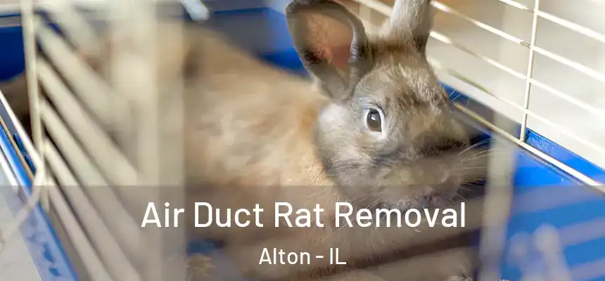  Air Duct Rat Removal Alton - IL
