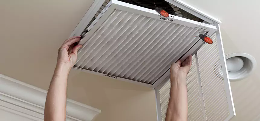 Preventive Cockroach-Proofing for Ducts in Alton