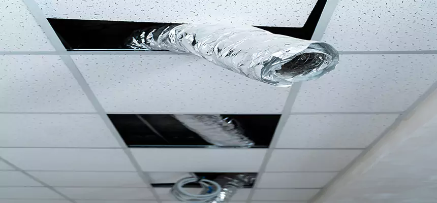 Affordable HVAC Sanitizing After Pest Removal in Alton