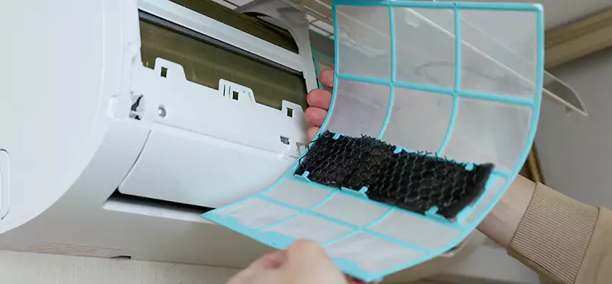 Gentle Ductwork Odor-Control Pet Dander Duct Cleaning in Alton, IL