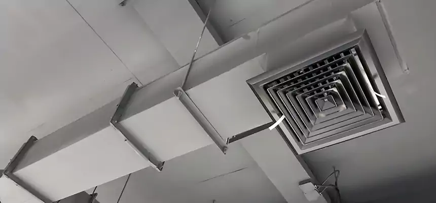 Our Rodent Droppings In Vents Services in Alton, IL