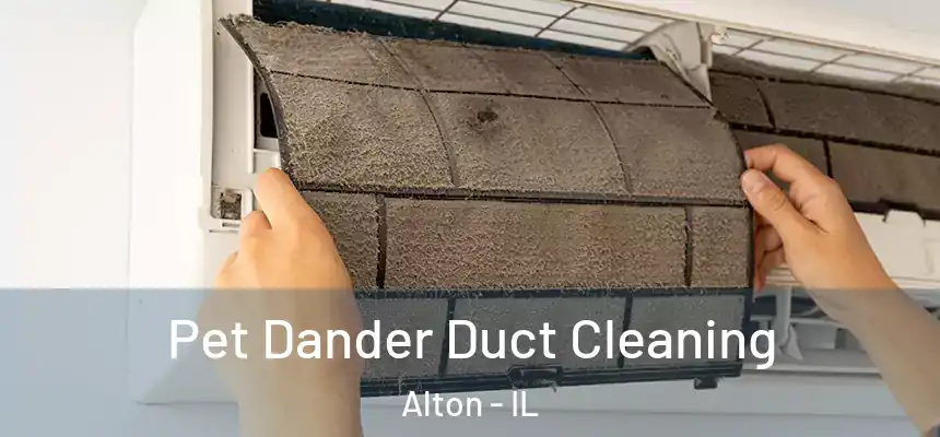 Pet Dander Duct Cleaning Alton - IL