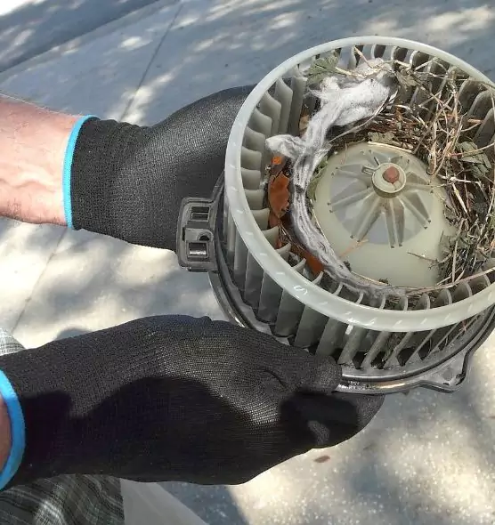 About Air Duct Mice Removal in Alton, IL