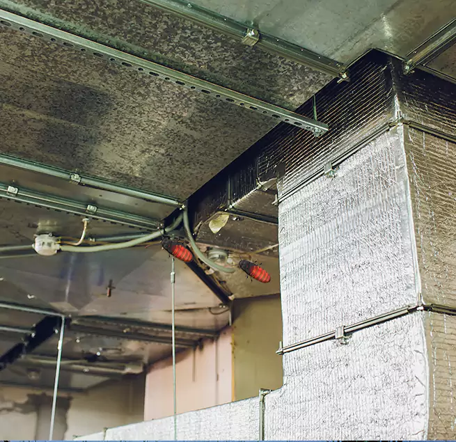 Why Homeowners & Businesses Trust Us Alton, IL?