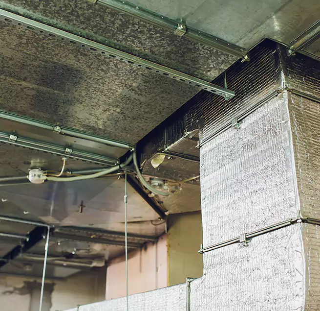 Why Homeowners & Businesses Trust Us in Alton, IL?